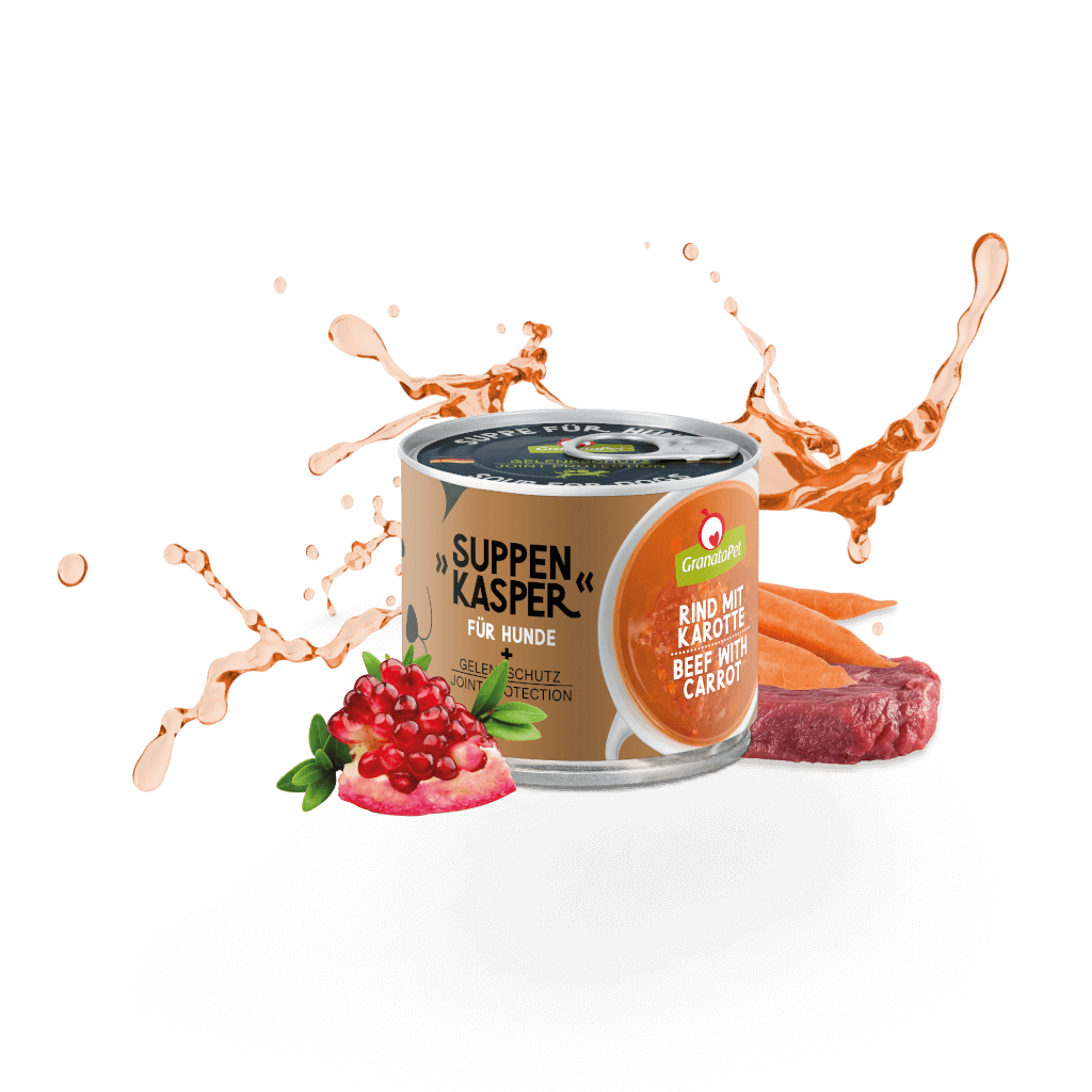 Kostprobe für Welpen (große Hunderasse) - MP 4