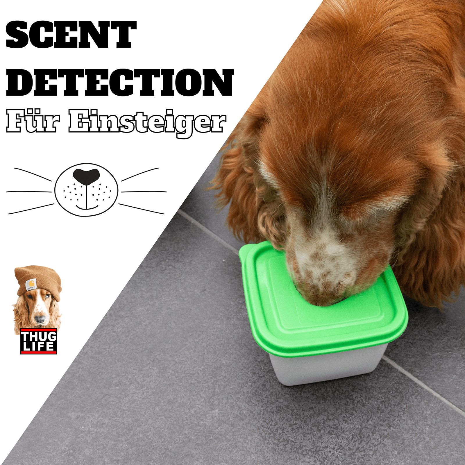 Vroni's Hundeschule: Scent Detection