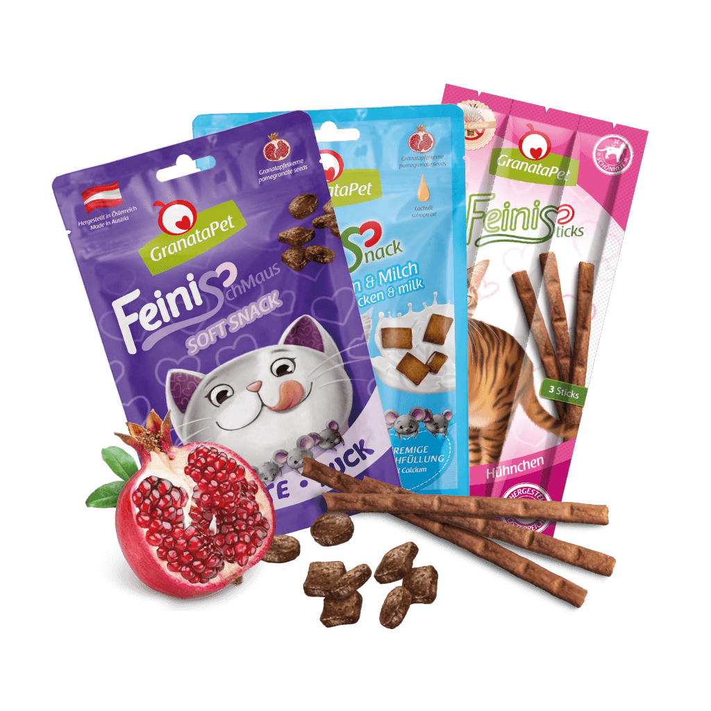 Kostprobe DeliCATessen ohne Fisch Kostprobe DeliCATessen ohne Fisch - MP 4