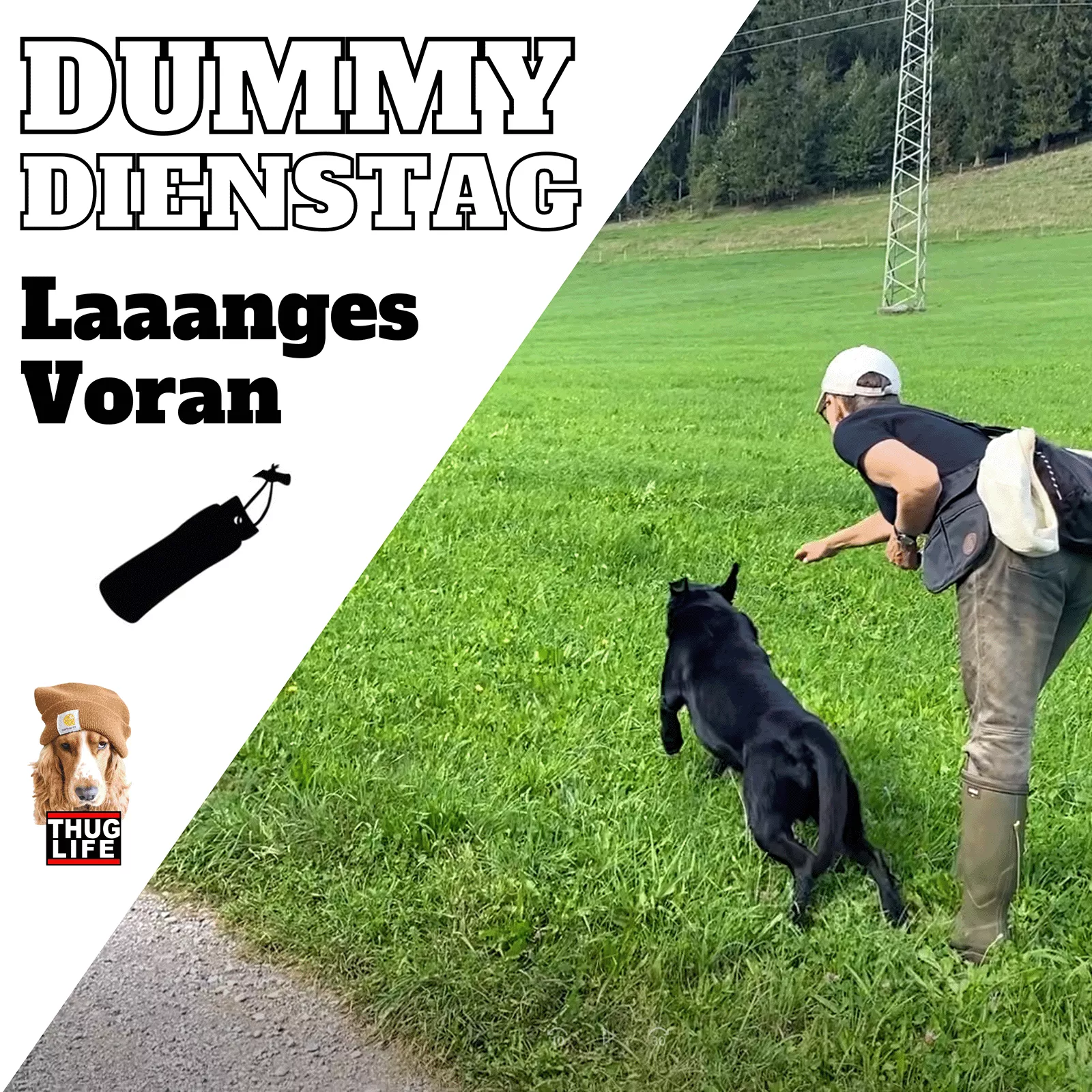 Vroni's Hundeschule: Laaanges Voran