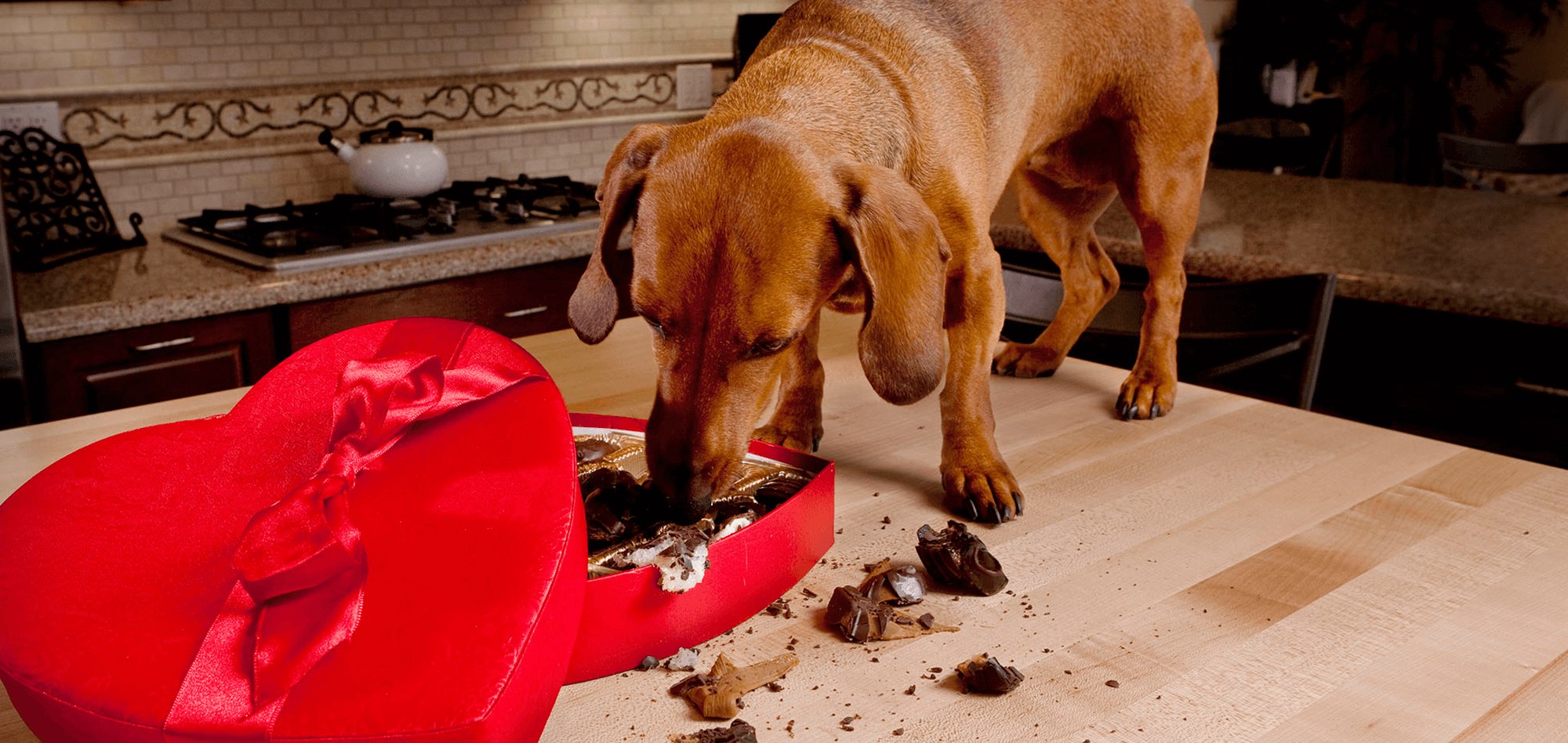 Achtung Schoki: So gefährlich sind Kakaoprodukte! Achtung Schoki: So gefährlich sind Kakaoprodukte!