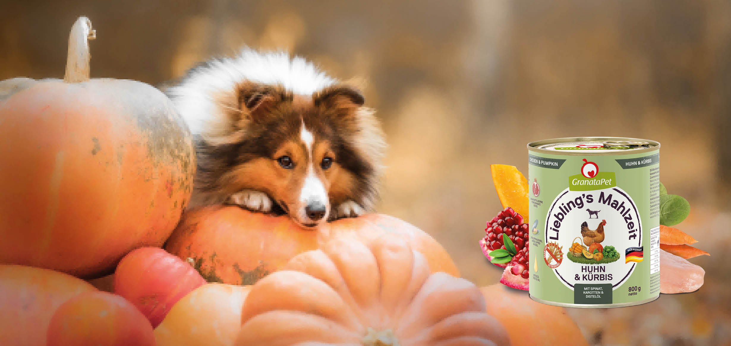 Getreidefreies Hundefutter mit Kürbis Getreidefreies Hundefutter mit Kürbis