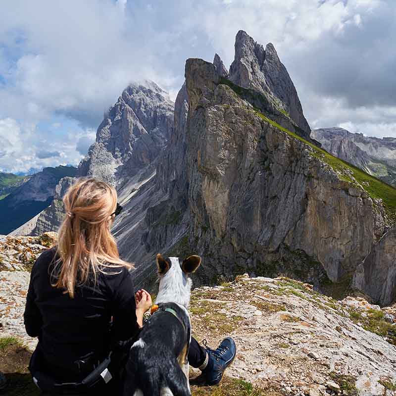 Wandern mit Hund