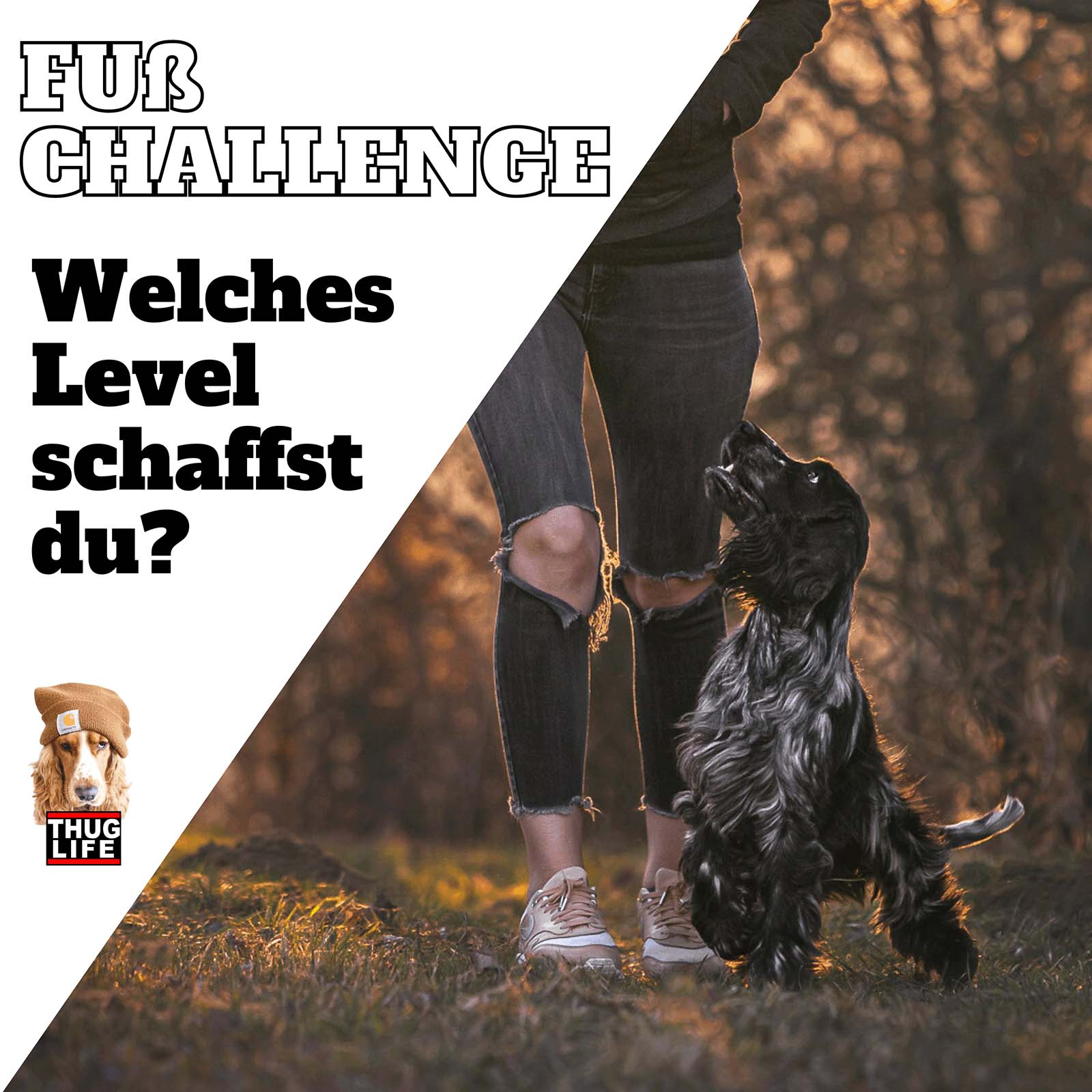 Vroni's Hundeschule: Die Fuss-Challenge Vroni's Hundeschule: Die Fuss-Challenge
