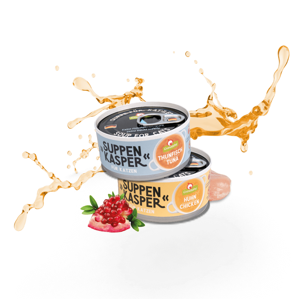 Kostprobe für Kitten - MP 4