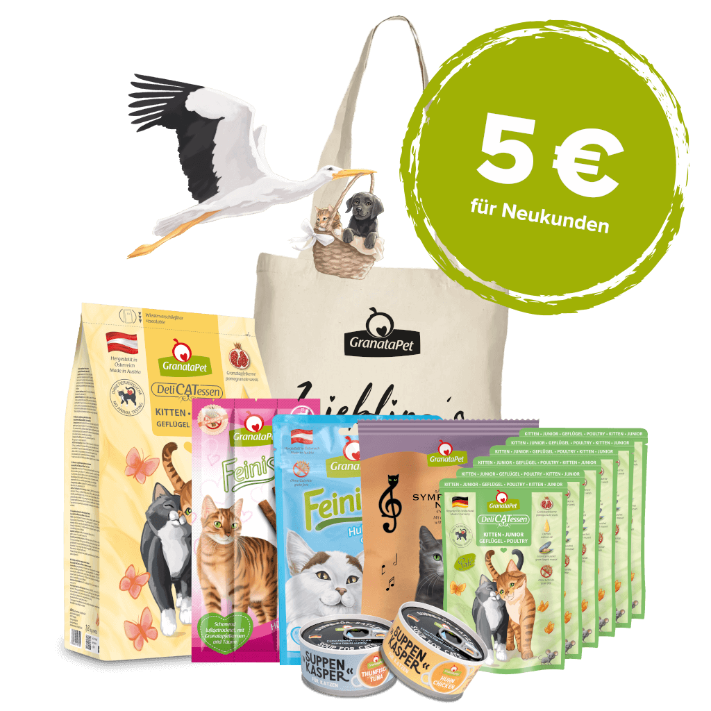 Kostprobe für Kitten - Hauptbild