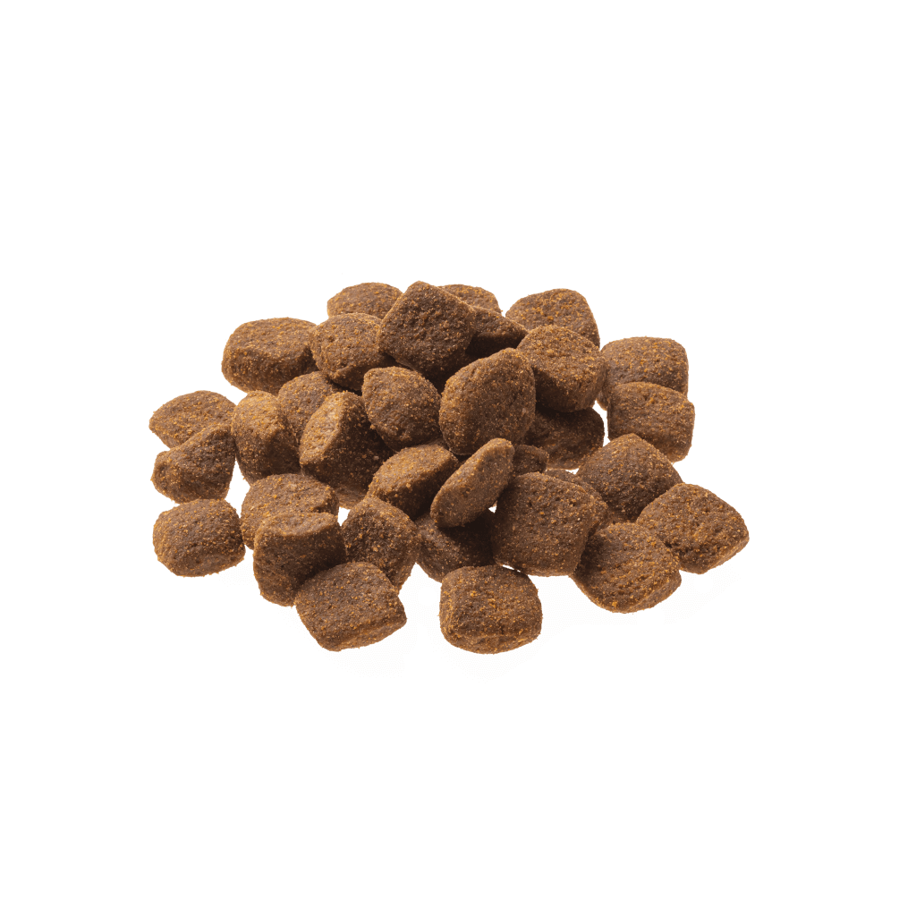 GranataPet Hund - Trockenfutter Natural Taste Geflügel 12 kg - Produkt ohne Verpackung