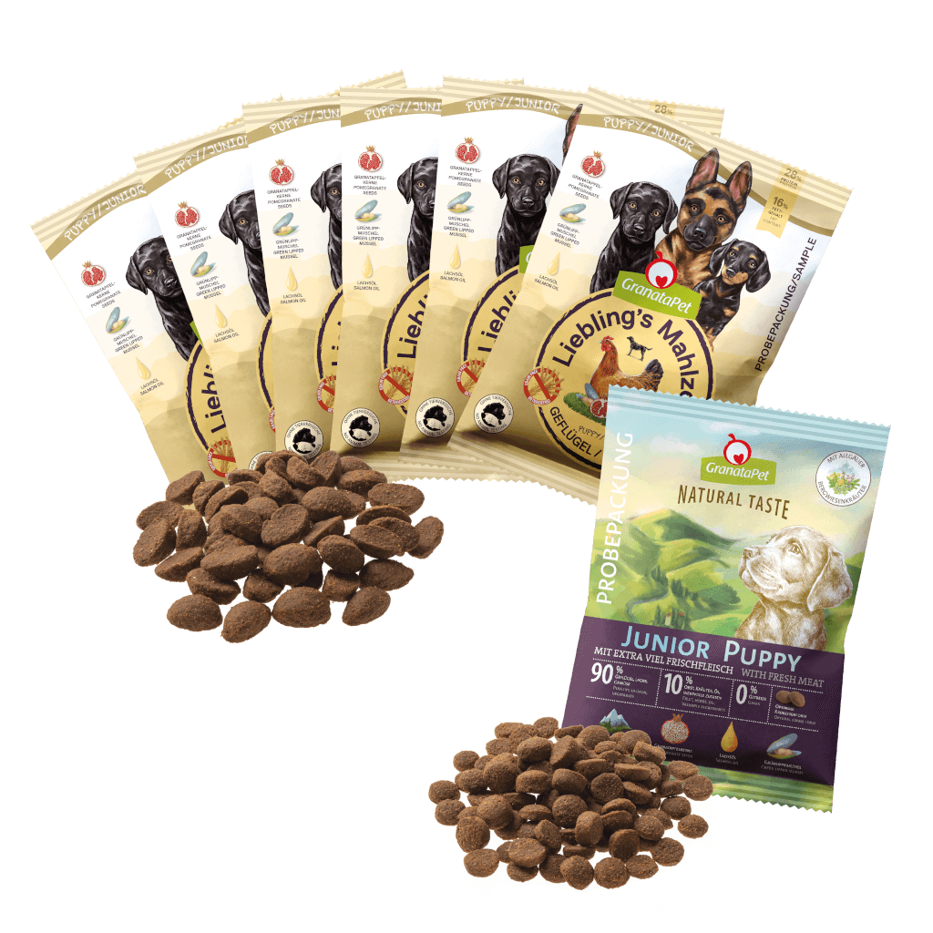 Kostprobe für Welpen (große Hunderasse) Kostprobe für Welpen (große Hunderasse) - MP 2