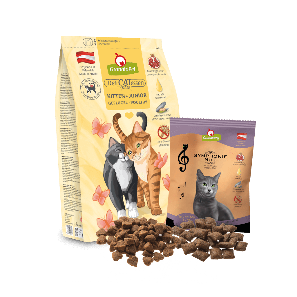 Kostprobe für Kitten Kostprobe für Kitten - MP 2