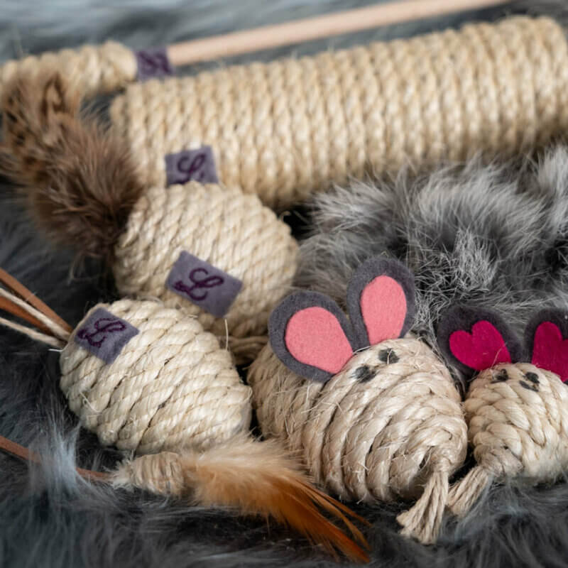 So findest Du das  richtige Spielzeug für Deine Samtpfote! So findest Du das  richtige Spielzeug für Deine Samtpfote!