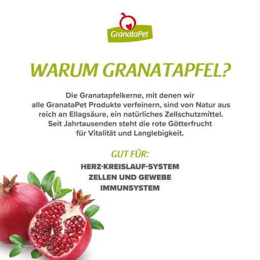 GranataPet Hund - Nassfutter Moro-Suppe mit Kartoffeln 375 g - Claim