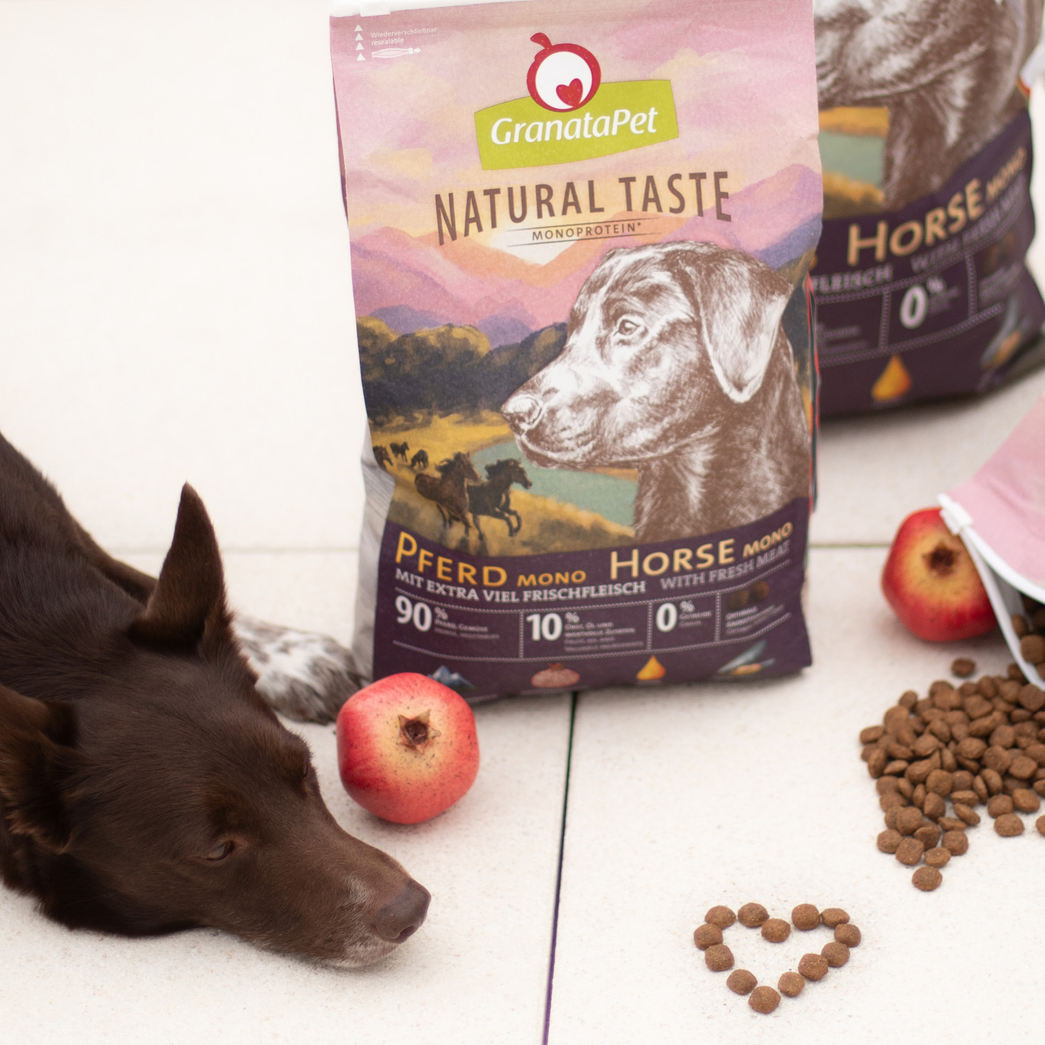 Monoprotein – was steckt hinter dem Begriff und warum ist es so wichtig für Hunde mit Allergien? Monoprotein – was steckt hinter dem Begriff und warum ist es so wichtig für Hunde mit Allergien?