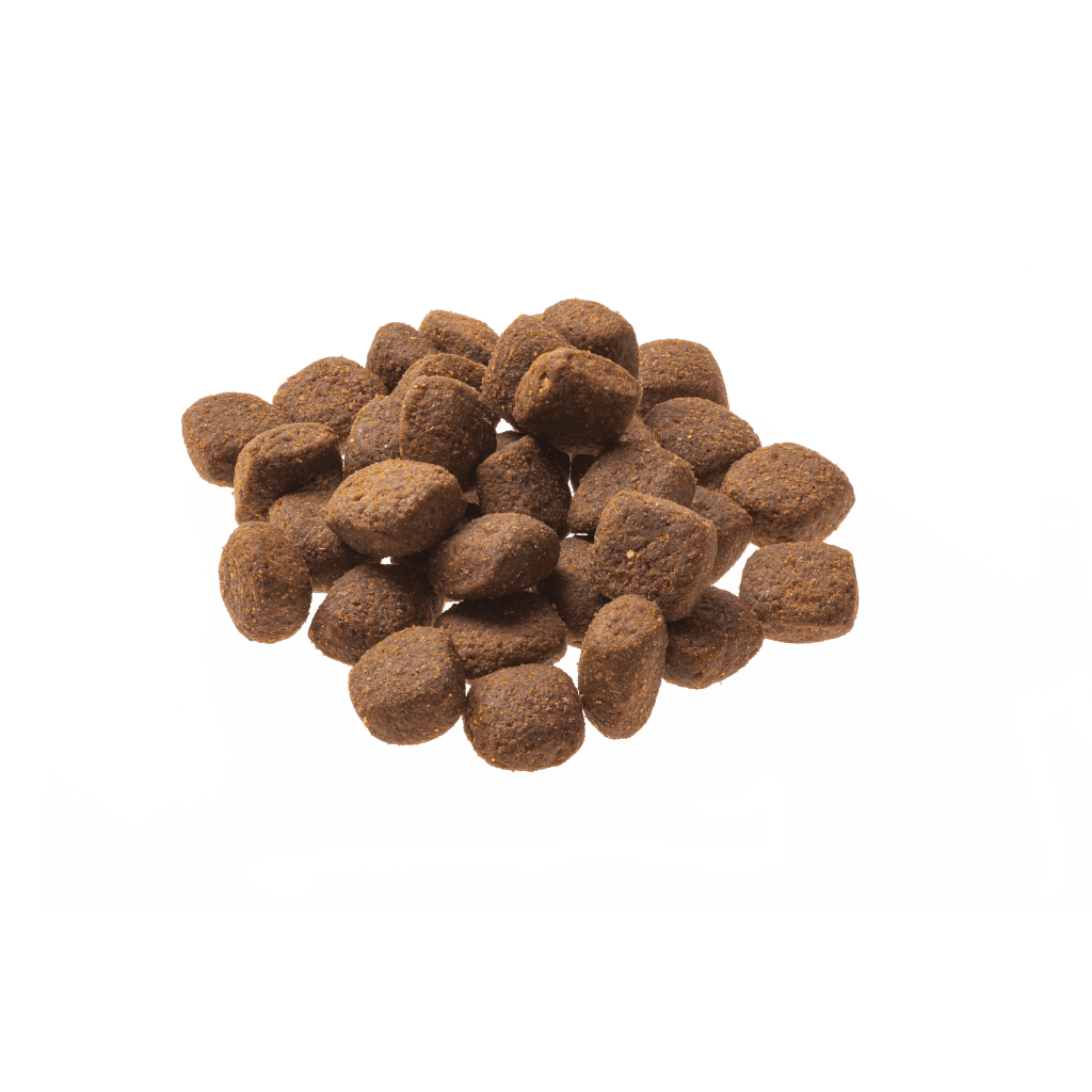 GranataPet Hund - Proben Natural Taste Lachs & Pute 80 g - Produkt ohne Verpackung