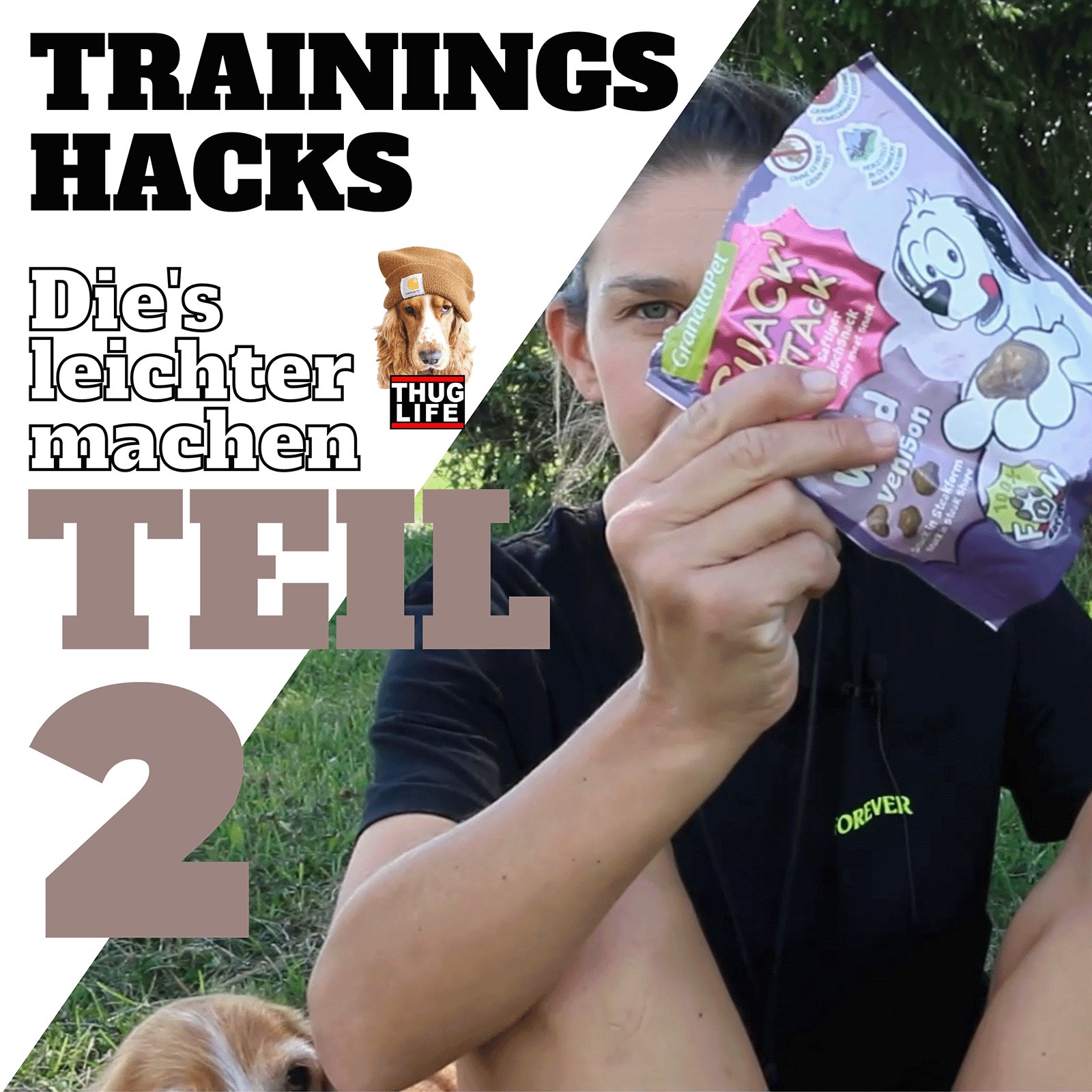 Vroni's Hundeschule: Trainings Hacks Teil 2