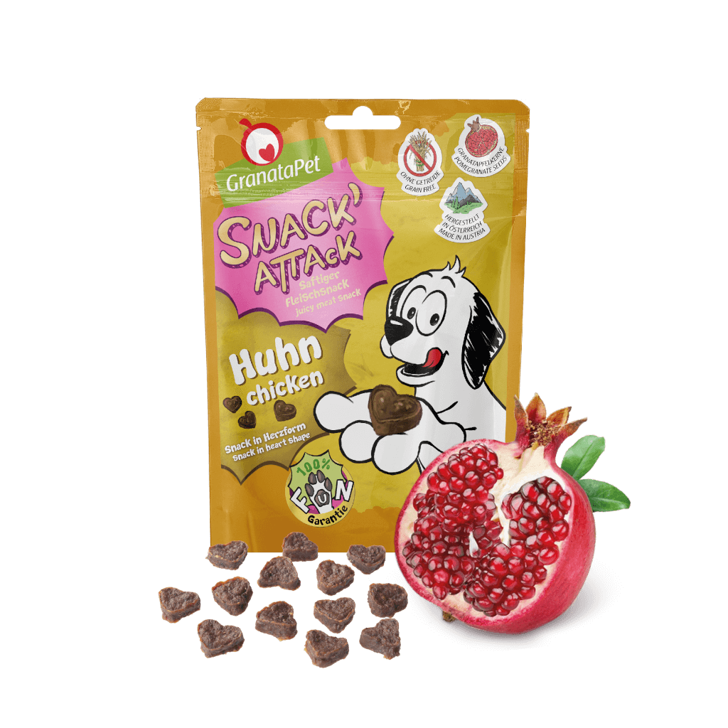 Kostprobe für Welpen (kleine Hunderasse) Kostprobe für Welpen (kleine Hunderasse) - MP 3