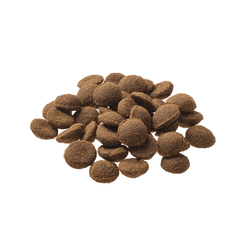 GranataPet Hund - Proben Liebling´s Mahlzeit Pute Fit im Alter 80 g - Produkt ohne Verpackung