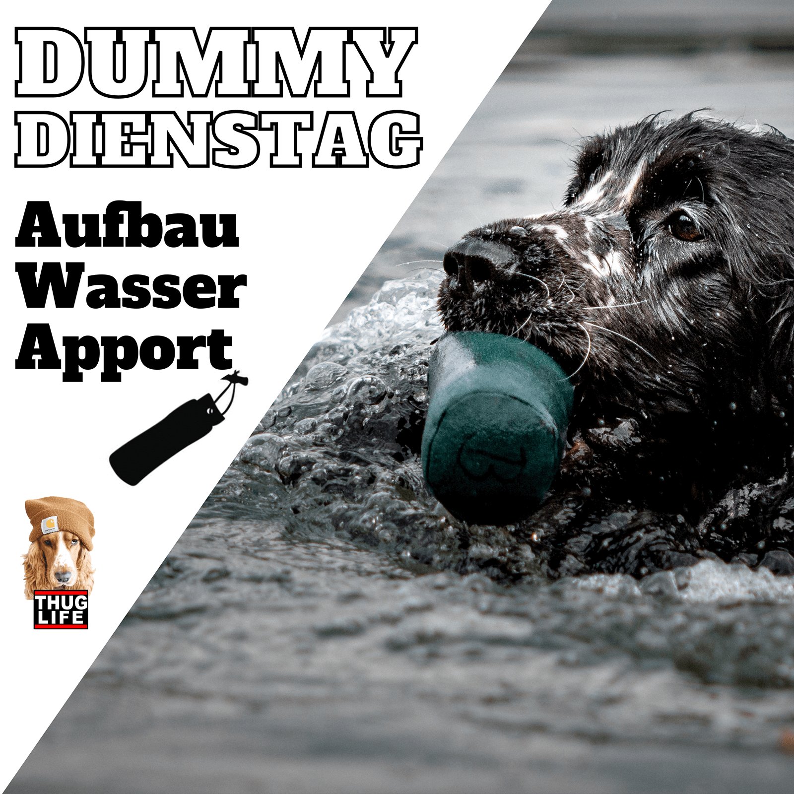 Vroni's Hundeschule: Dummy Dienstag zum Aufbau des Wasserapports