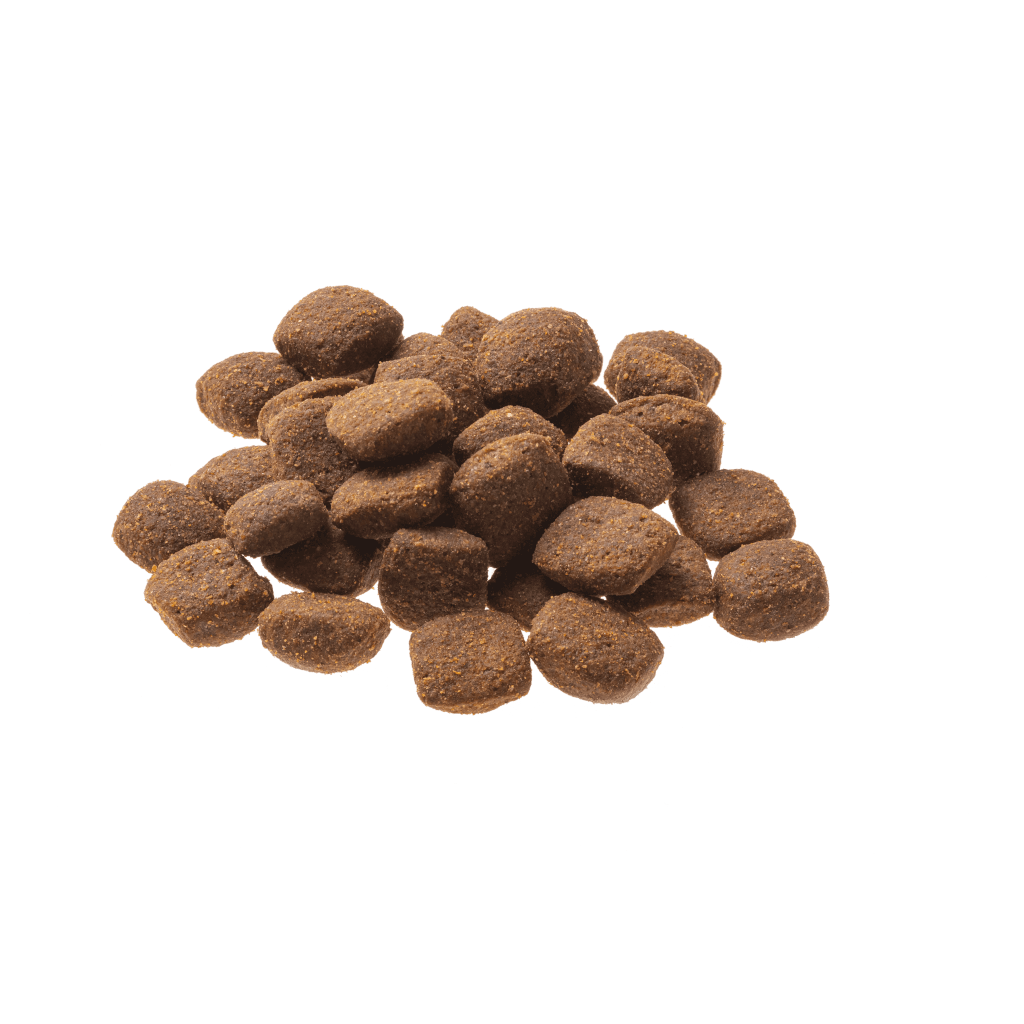 GranataPet Hund - Trockenfutter Natural Taste Ente & Forelle 4 kg GranataPet Hund - Trockenfutter Natural Taste Ente & Forelle 4 kg - Produkt ohne Verpackung