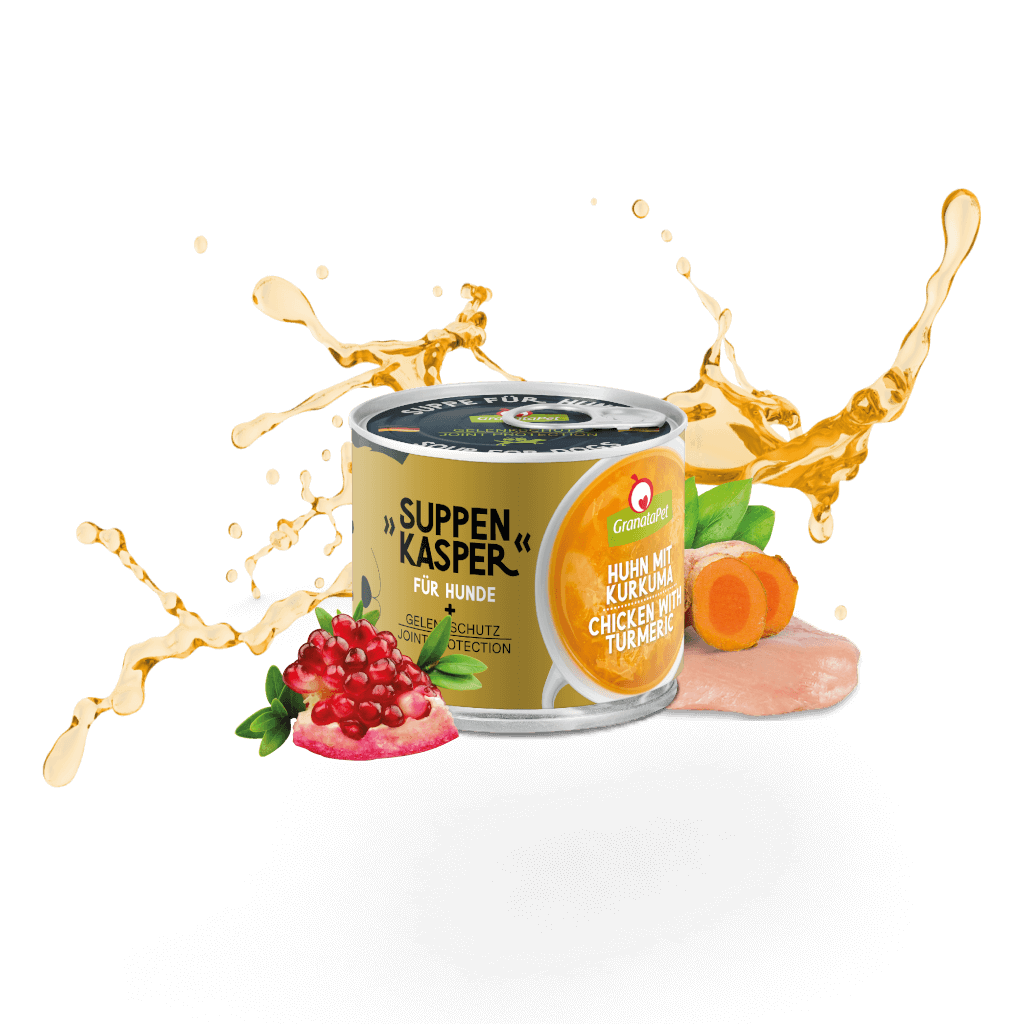 Kostprobe für kleine Hunde Kostprobe für kleine Hunde - MP 4