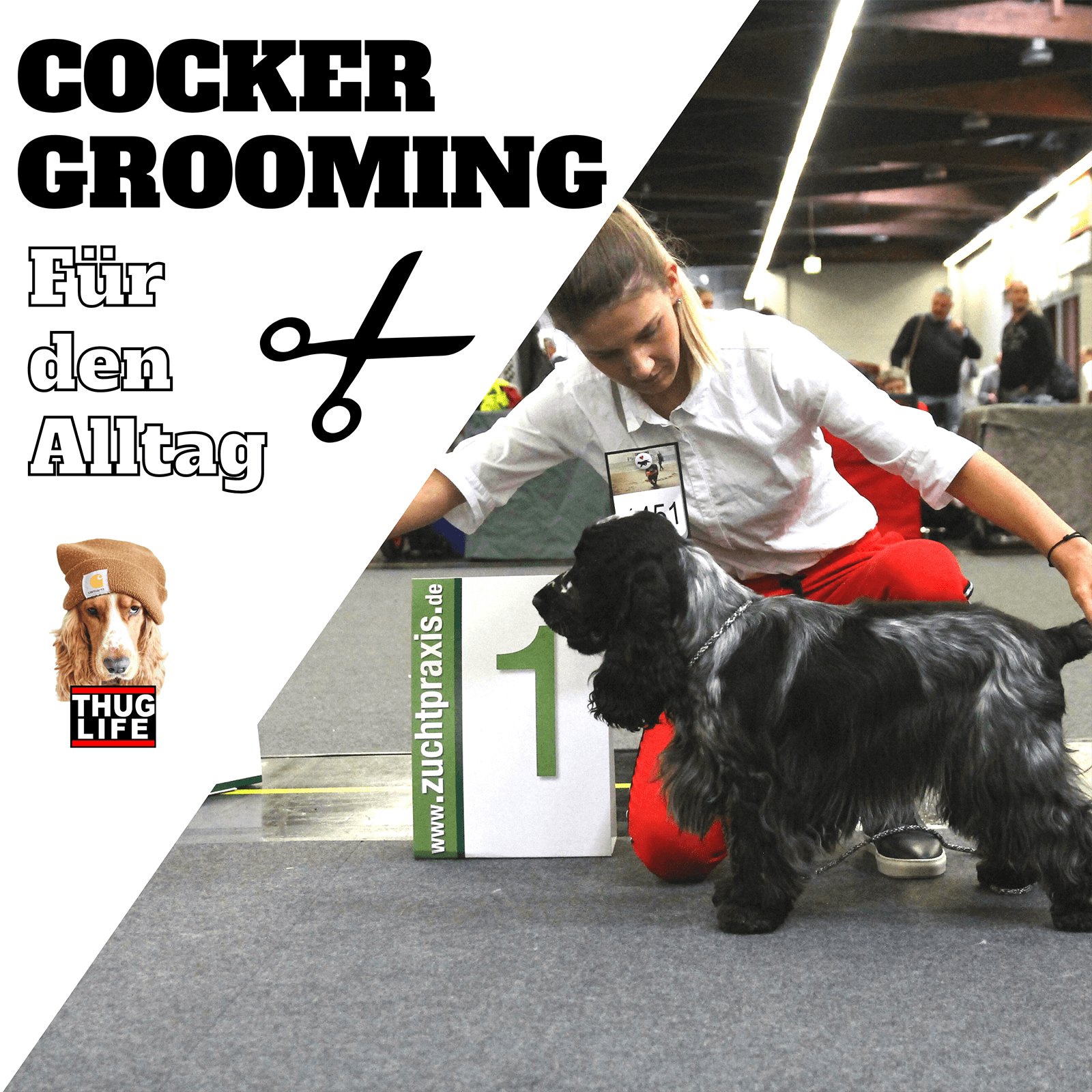 Vroni's Hundeschule: Grooming