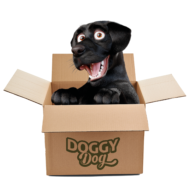 DOGGY Dog Hundefutter Abo Karton