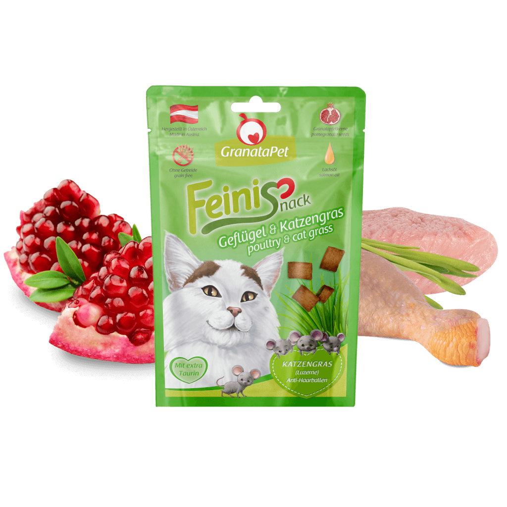 Geflügel & "Katzengras" Geflügel & "Katzengras"