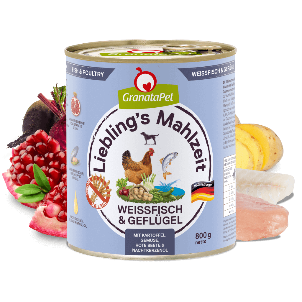 Lachs & Pute