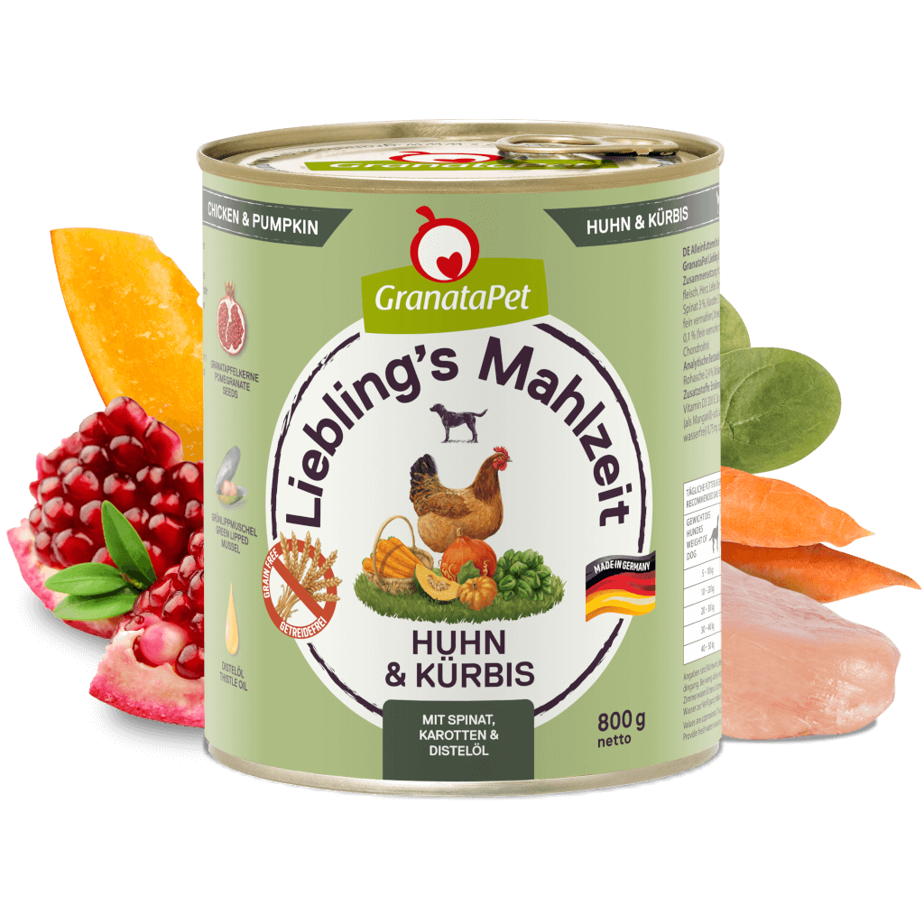 Huhn & Kürbis Huhn & Kürbis