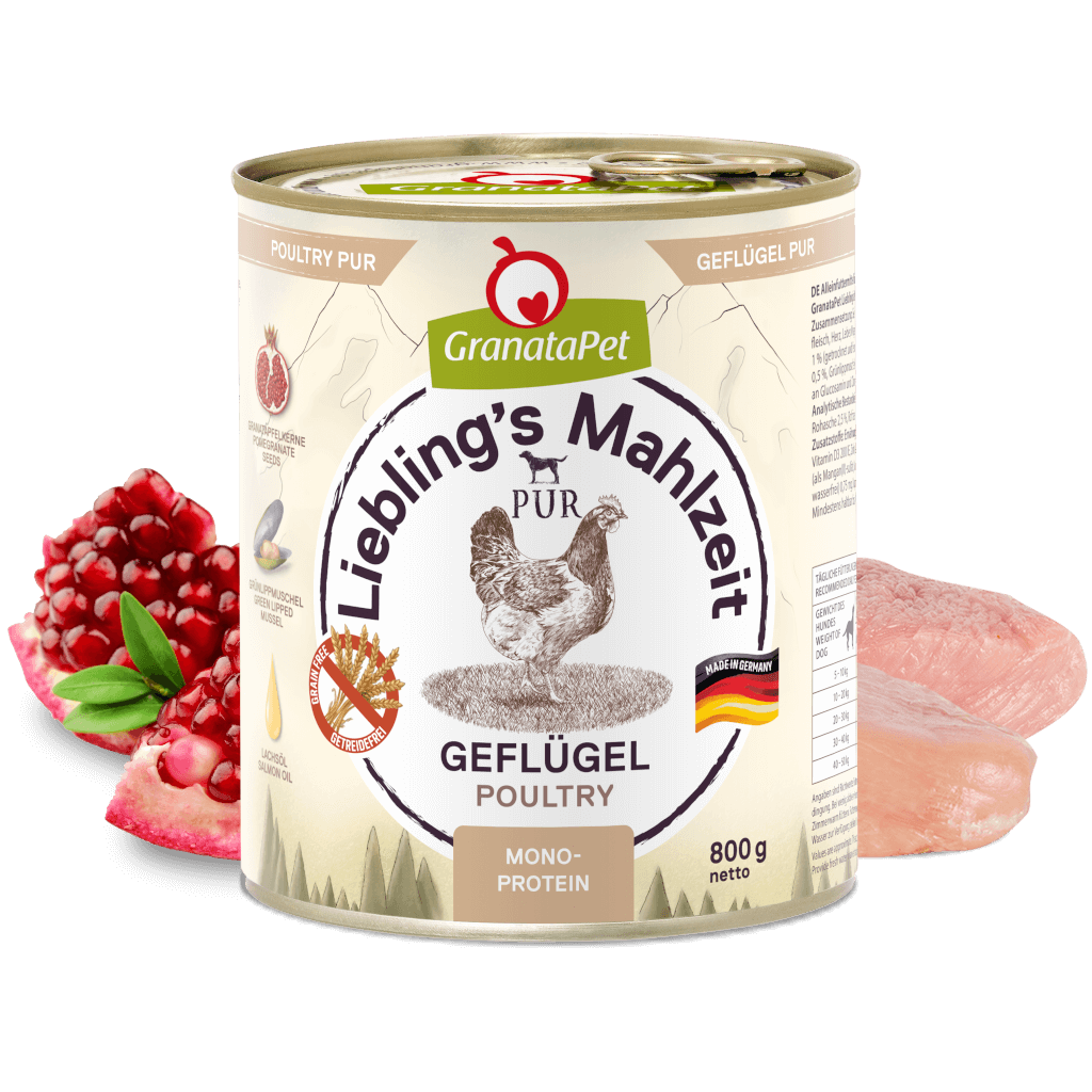 Huhn & Kürbis