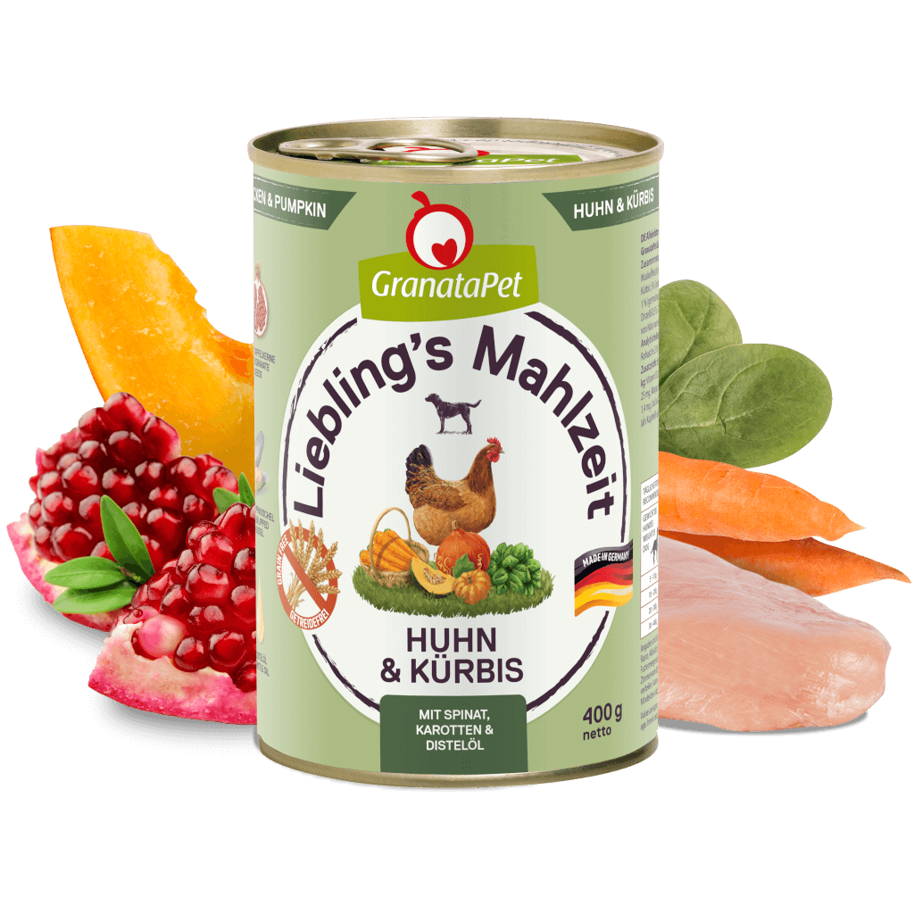 Huhn & Kürbis Huhn & Kürbis
