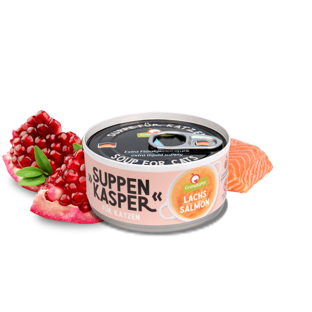 Suppenkasper Lachs Suppenkasper Lachs