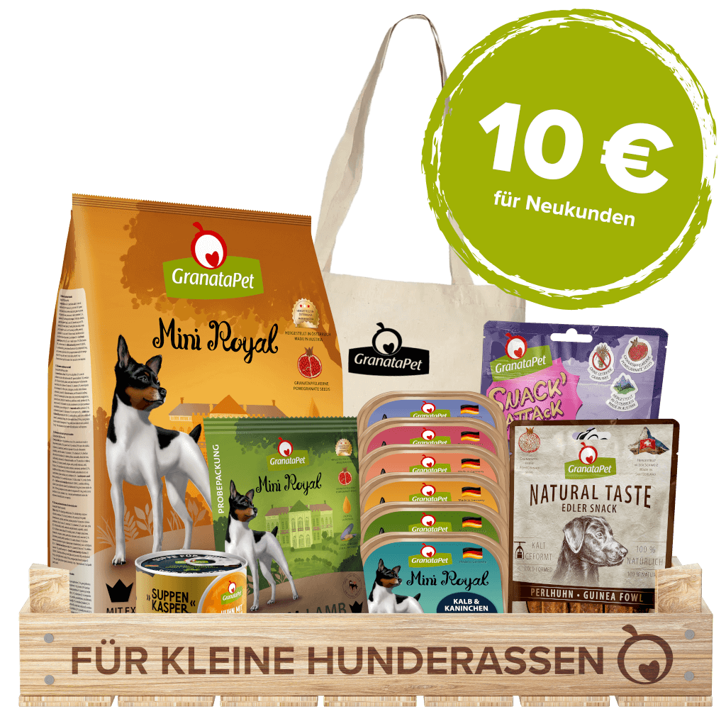 Kostprobe für kleine Hunde - Hauptbild