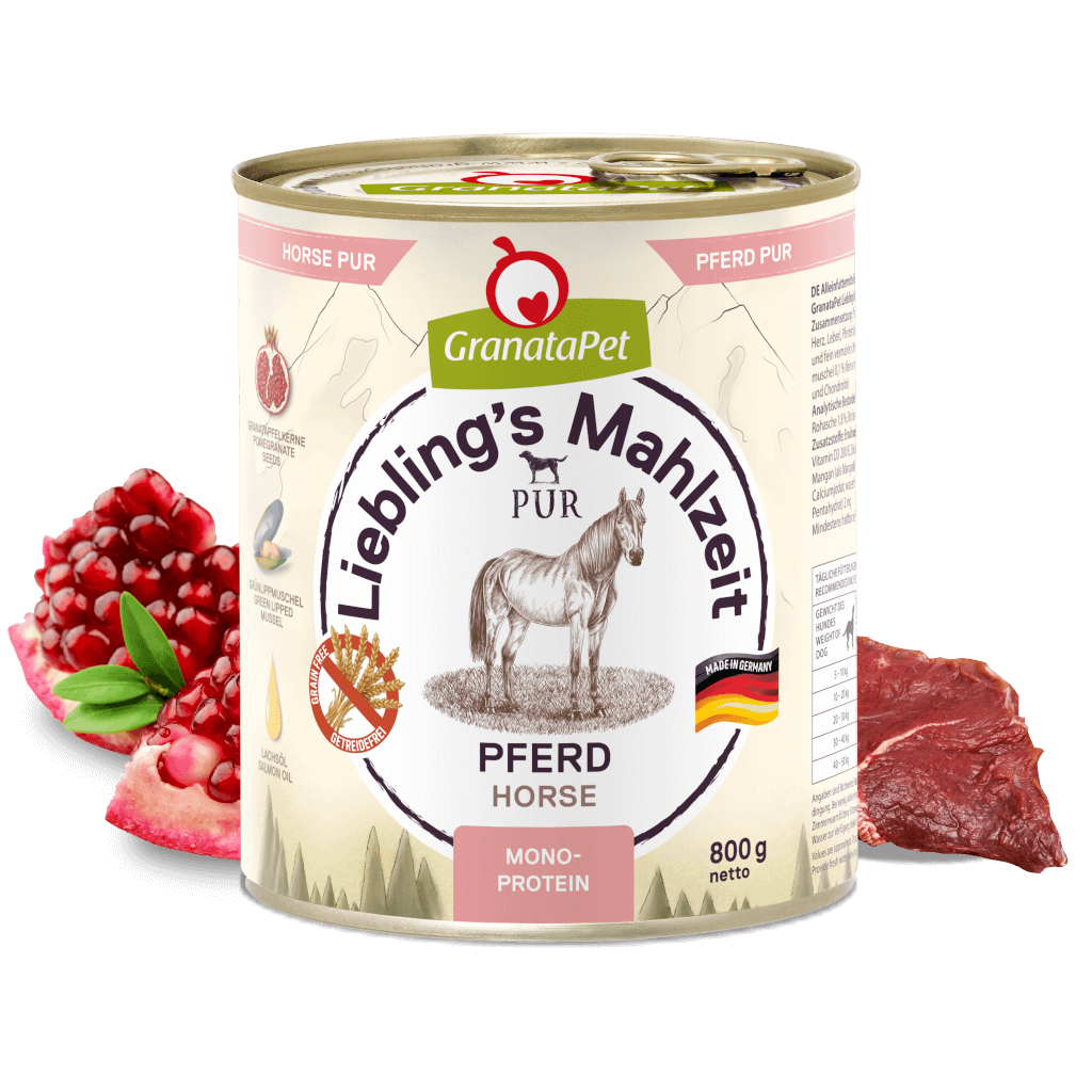 Pferd Pferd