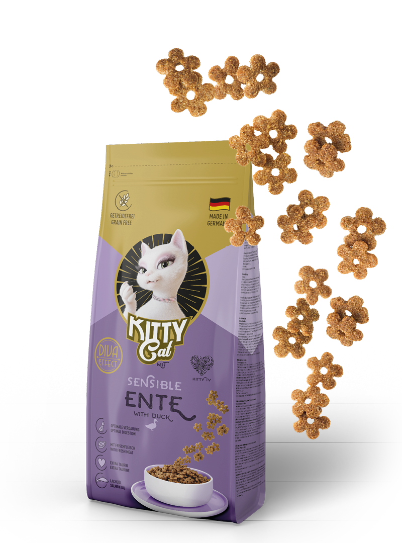 Beutel KITTY Cat Trockenfutter