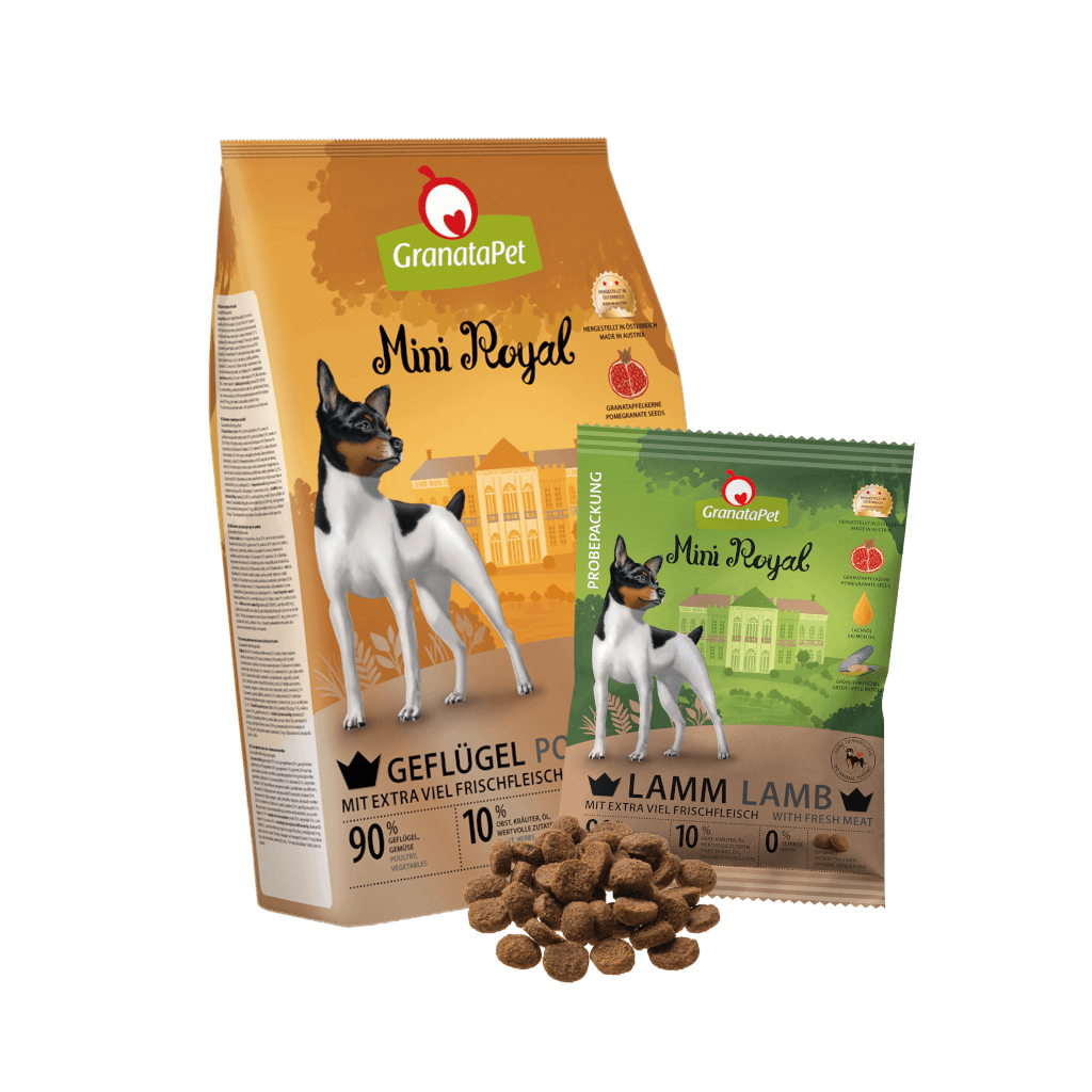 Kostprobe für kleine Hunde Kostprobe für kleine Hunde - MP 2