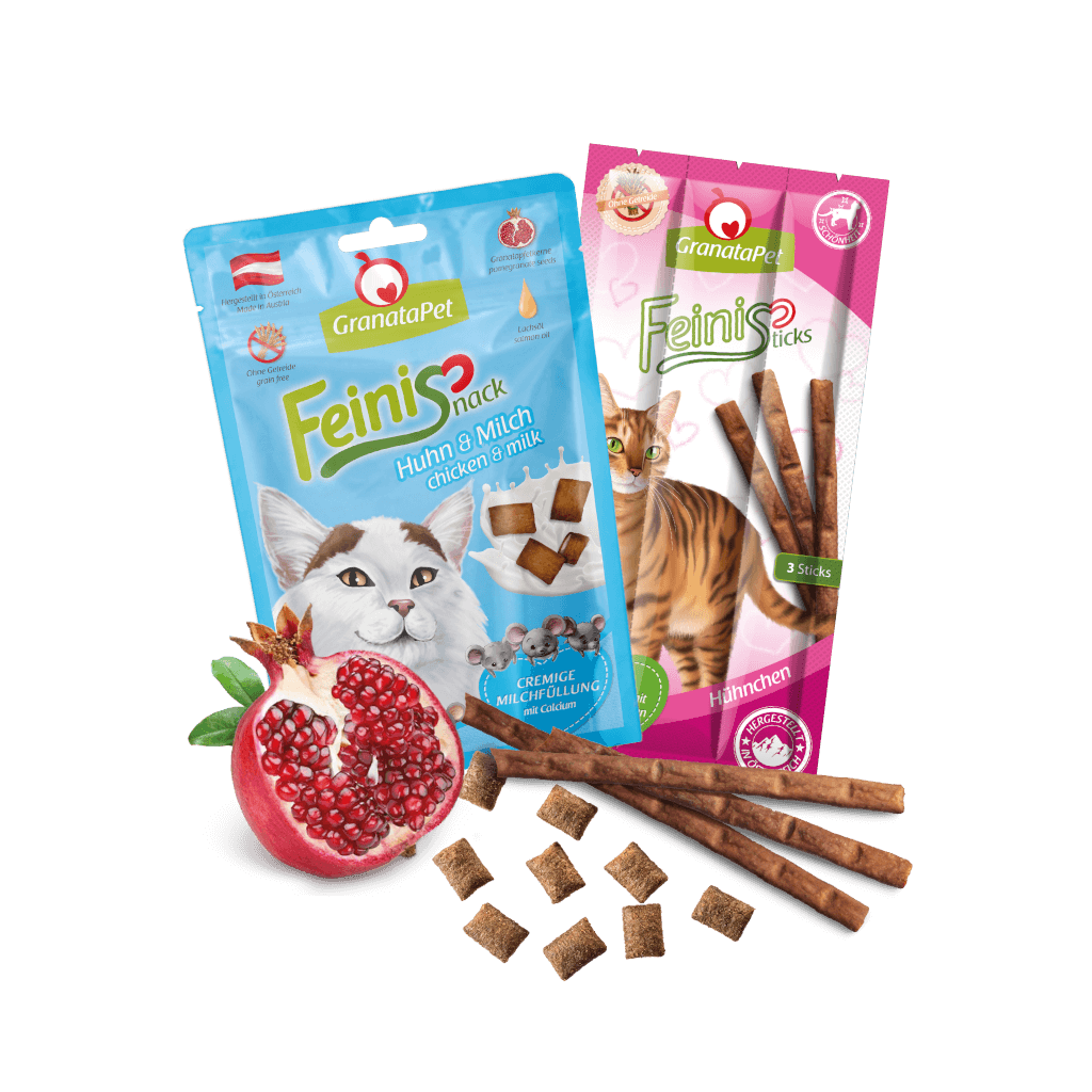 Kostprobe für Kitten Kostprobe für Kitten - MP 3