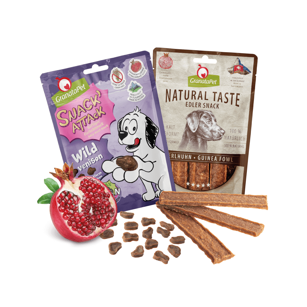 Kostprobe für kleine Hunde Kostprobe für kleine Hunde - MP 3