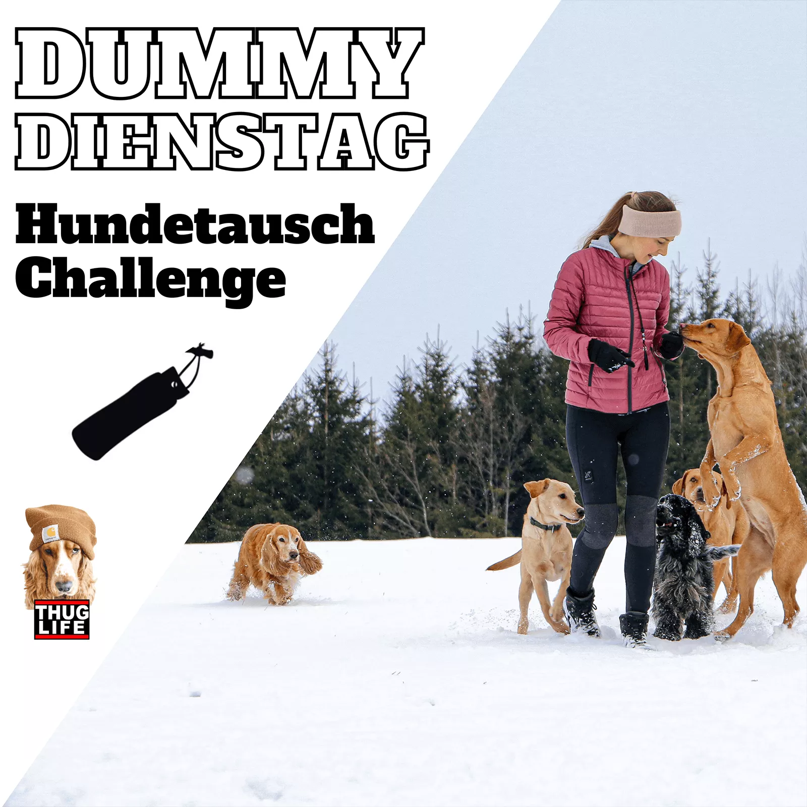 Vroni's Hundeschule: Dummytraining Hundetausch