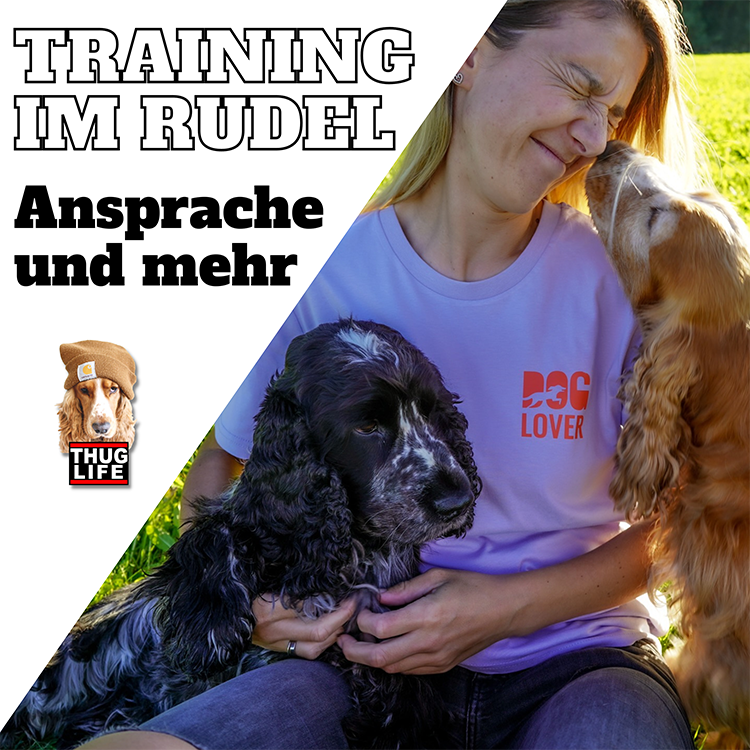 Vroni's Hundeschule: Training im Rudel