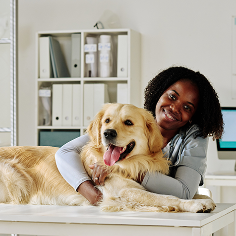 Tipps für den Tierarztbesuch - So bleibt dein Hunde entspannt