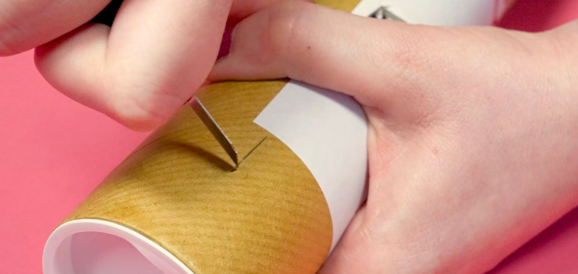 DIY Snackrolle für Katzen DIY Snackrolle für Katzen