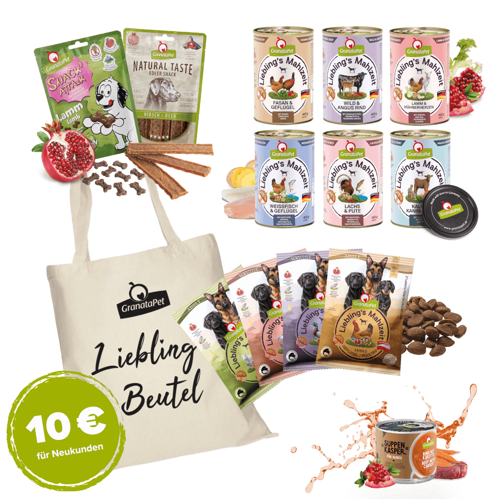 Kostprobe für große Hunde Rassen (Empfehlung)