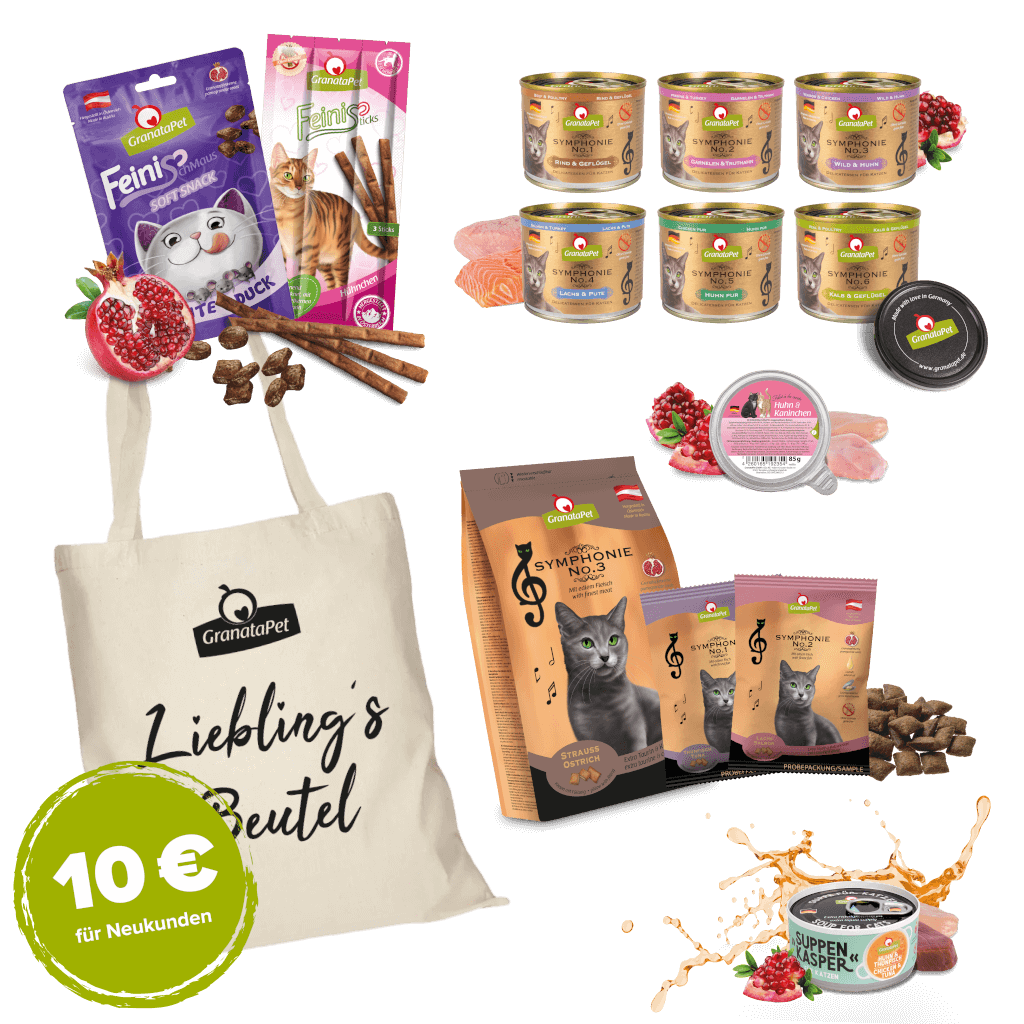 Kostprobe Symphonie (Empfehlung)