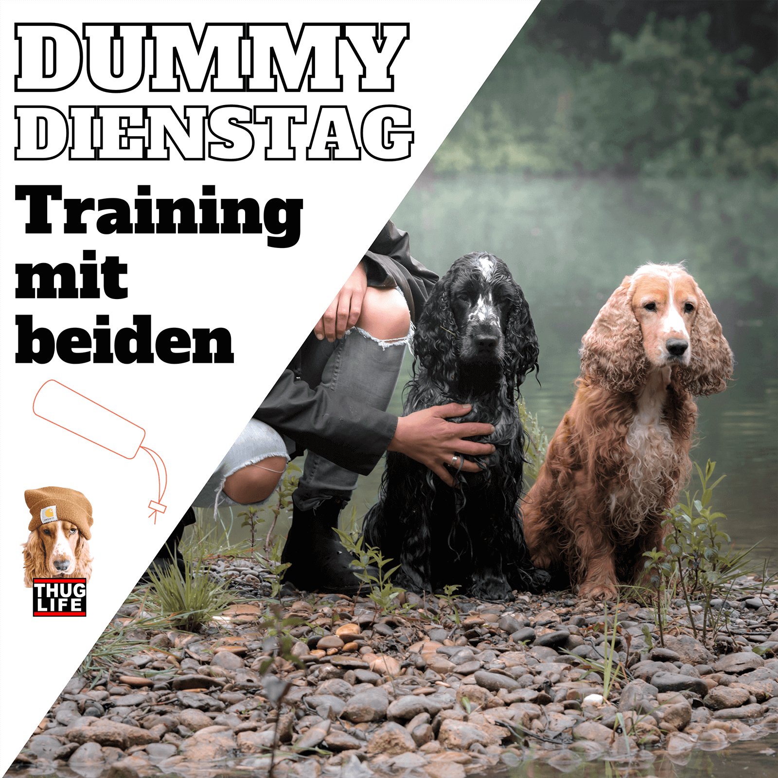 Vroni's Hundeschule: Dummytraining mit zwei Hunden