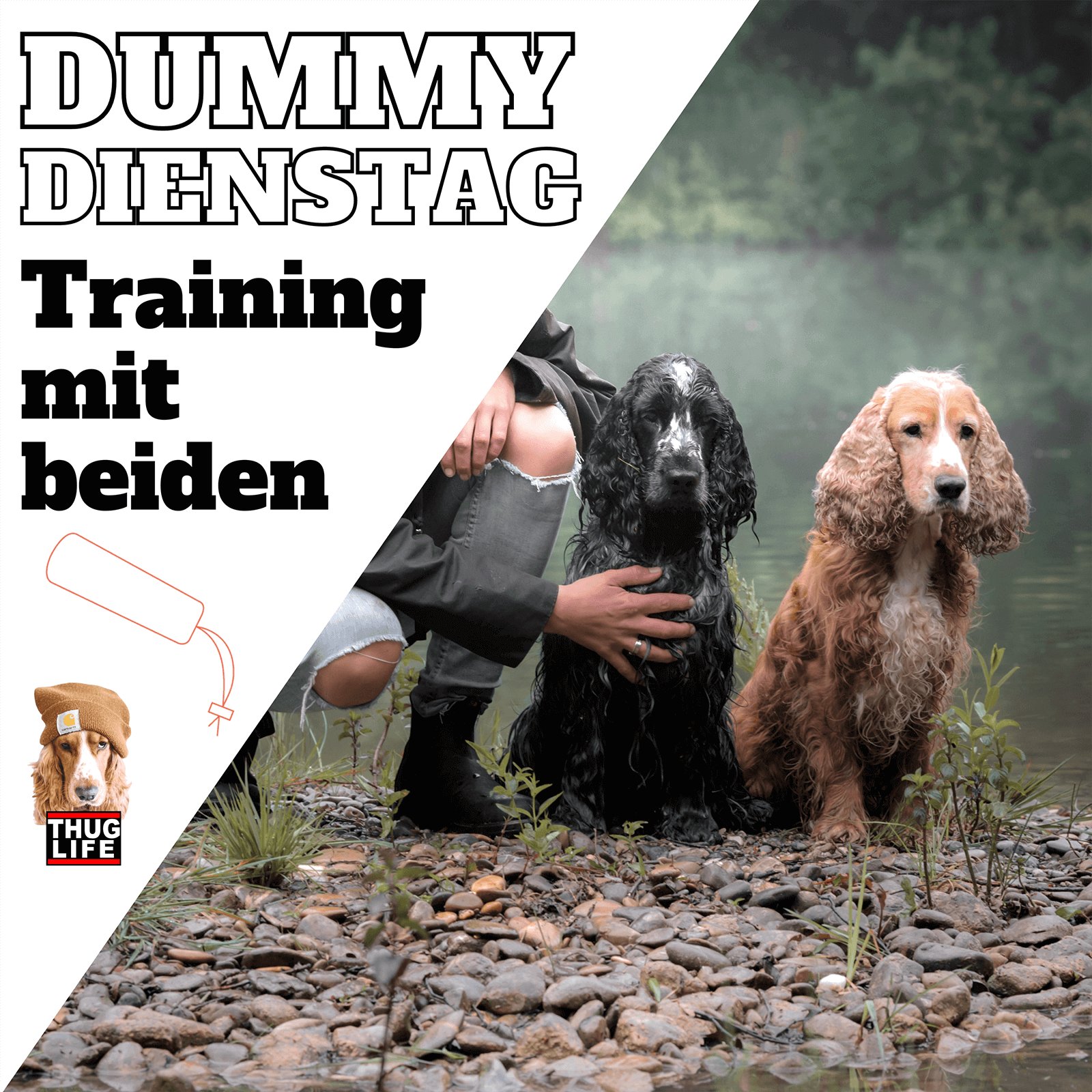 Vroni's Hundeschule: Dummytraining mit zwei Hunden Vroni's Hundeschule: Dummytraining mit zwei Hunden