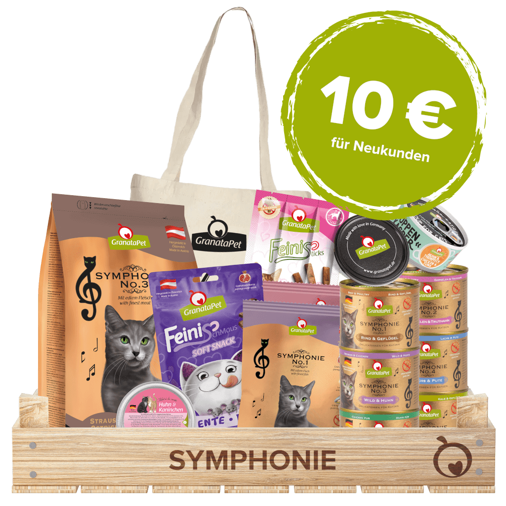 Kostprobe Symphonie - Hauptbild
