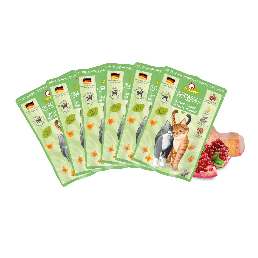 Kostprobe für Kitten Kostprobe für Kitten - MP 1