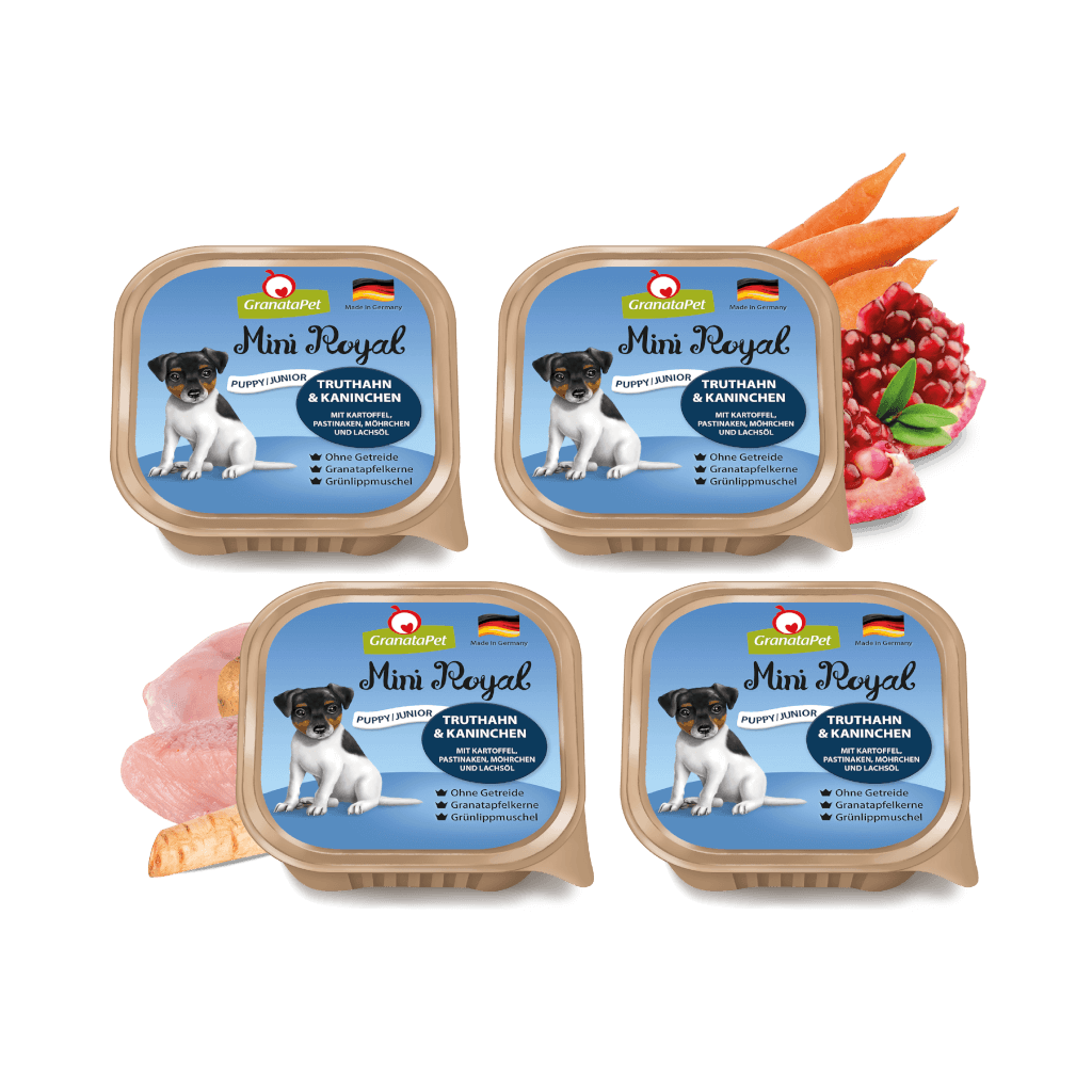 Kostprobe für Welpen (kleine Hunderasse) - MP 1